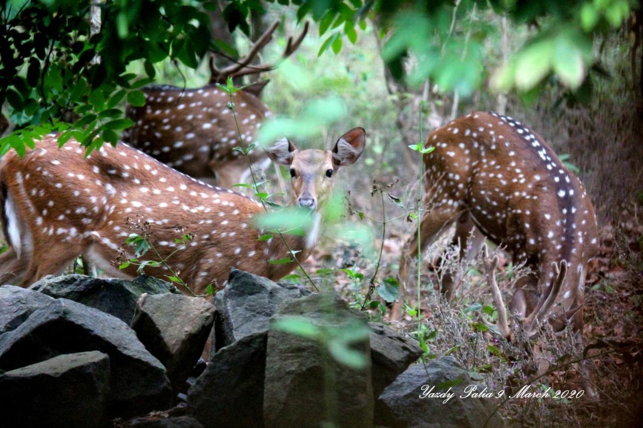 Batheri Woodside Homestay Wayanad מראה חיצוני תמונה